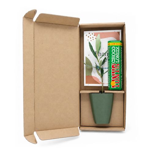 Boomgeschenk met chocolade - Afbeelding 1
